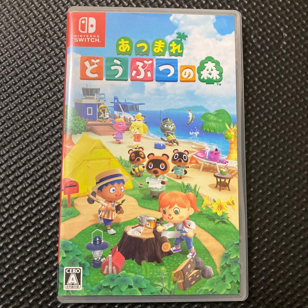 Switch あつまれどうぶつの森