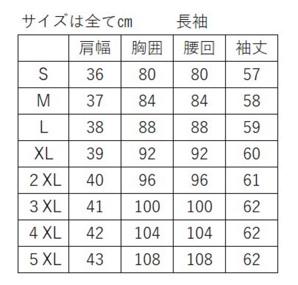 少し難 Lサイズ リクルートブラウス 就活 制服 通勤通学 バイト 高校生 送料無料/新品