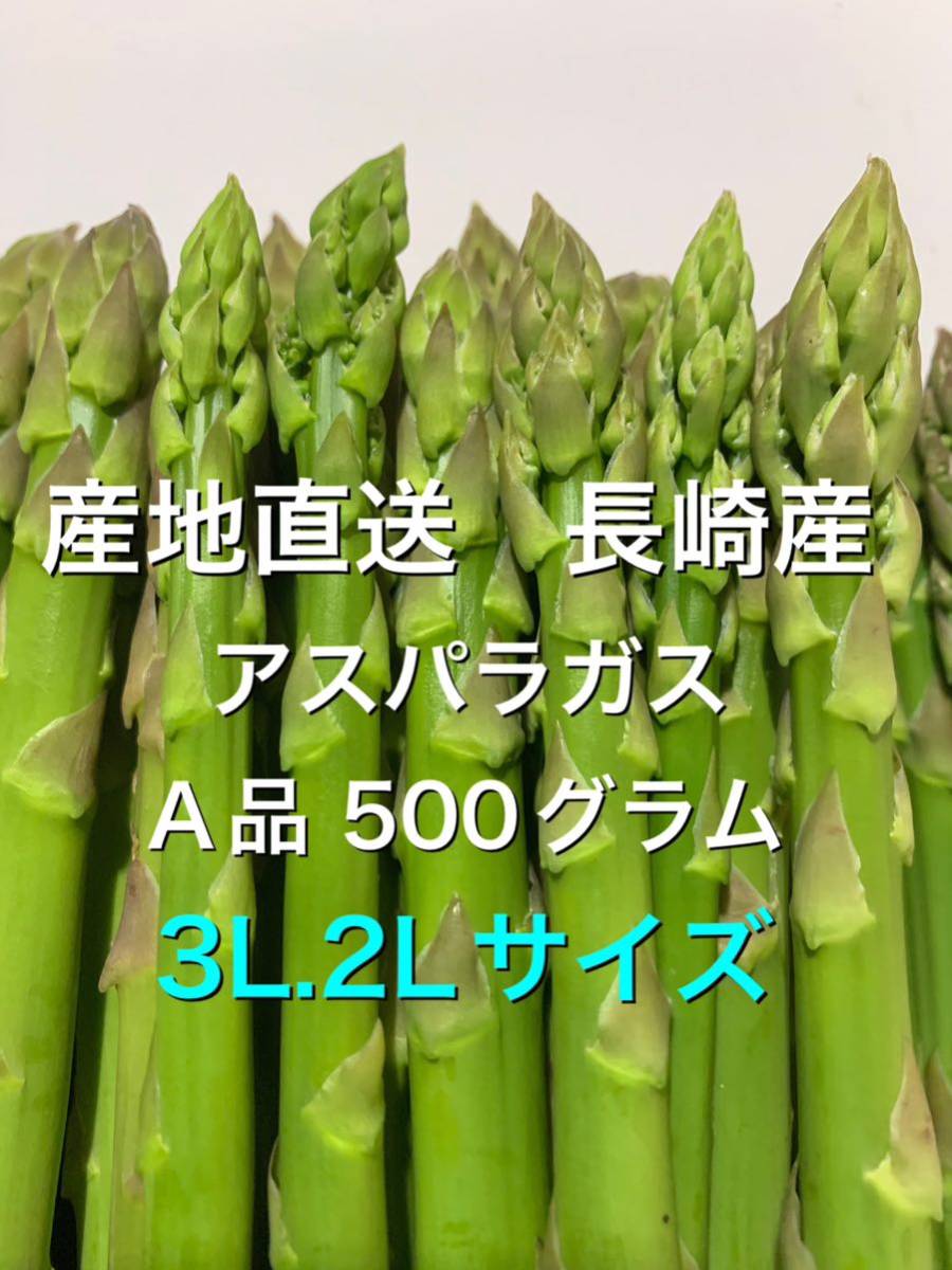 産直長崎産アスパラガス3L.2Lサイズ 500グラム_画像1