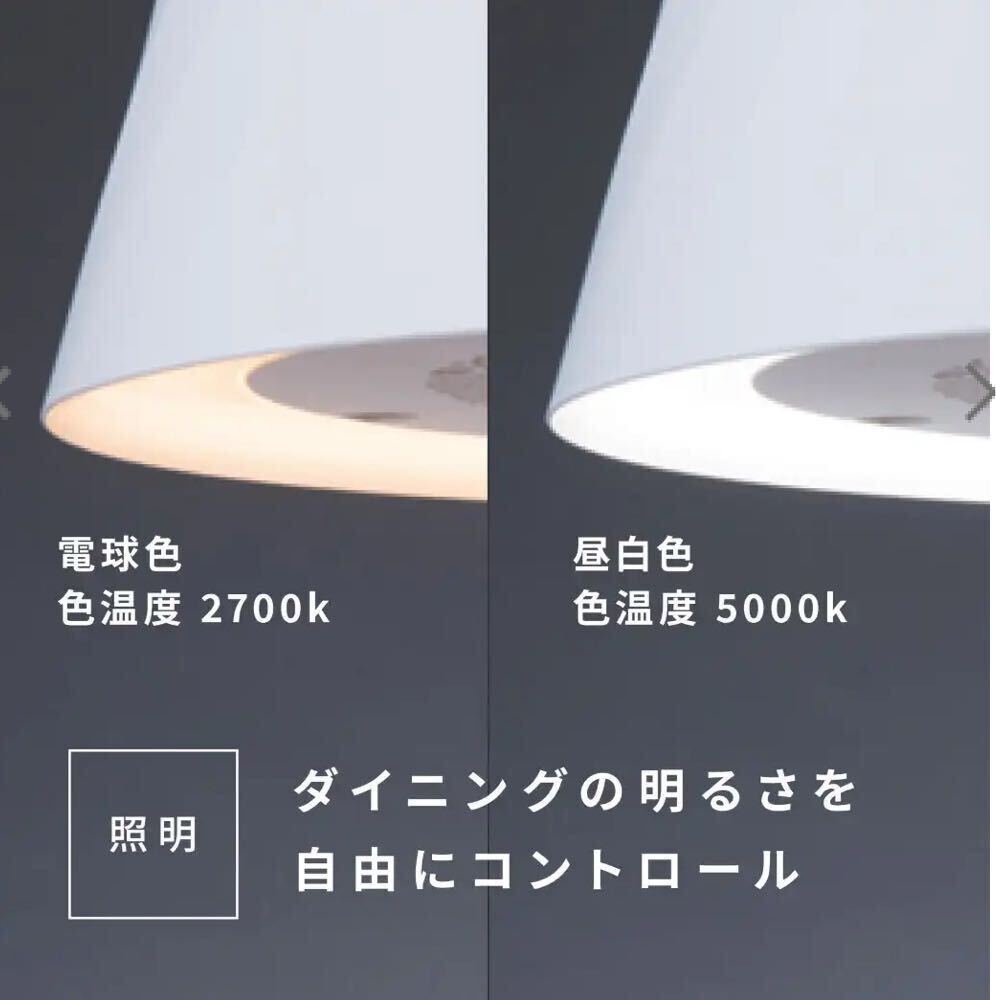  富士工業 LEDペンダントライト cookiray（クーキレイ） ブラック C-BE511-BK _画像10