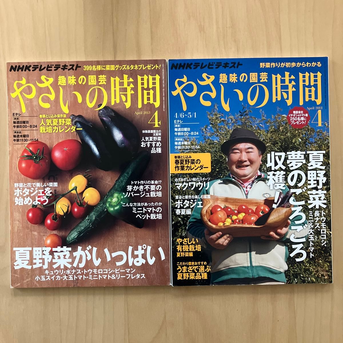 NHKテレビテキスト 趣味の園芸 やさいの時間　4月号セット　2013、2014 NHK出版