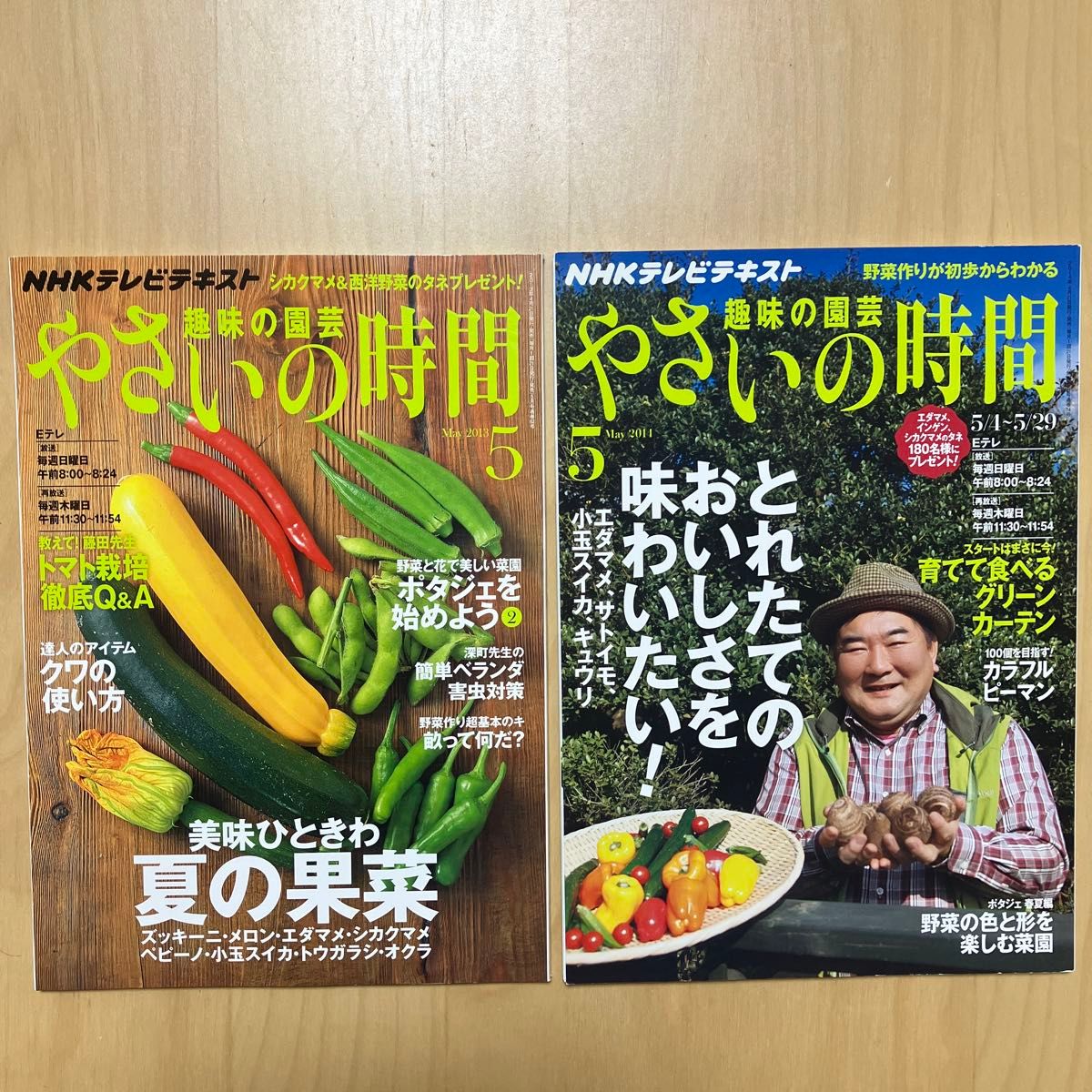 NHKテレビテキスト 趣味の園芸 やさいの時間 2013年2014年 5月号セット　NHK出版