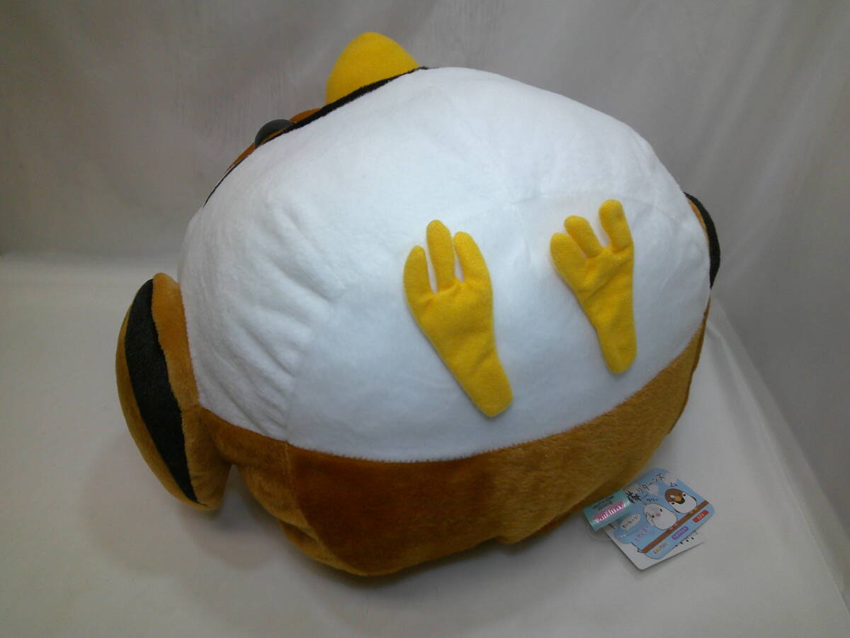 item_image_6