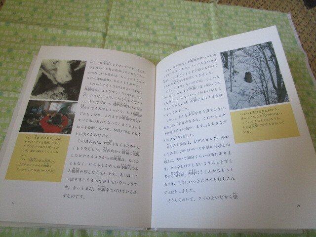 D3　『北の森にヒグマを追って』　青井俊樹／著　大日本図書出版