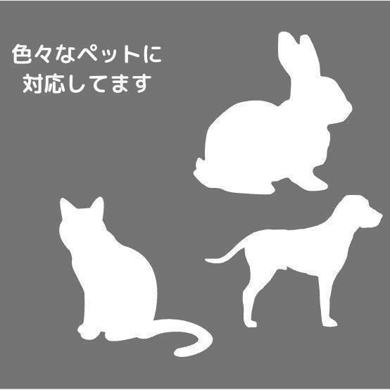 伸縮リード 犬用 ピンク 自動巻き取り ロック付き 5ｍ 散歩 ペット用品_画像4
