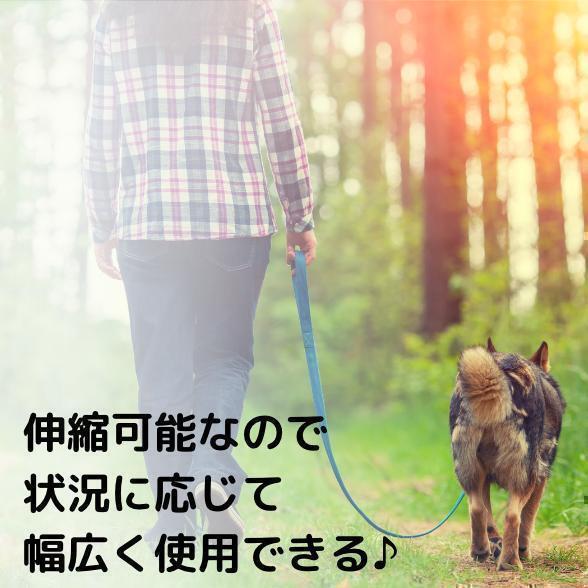 伸縮リード 犬用 ピンク 自動巻き取り ロック付き 5ｍ 散歩 ペット用品_画像3