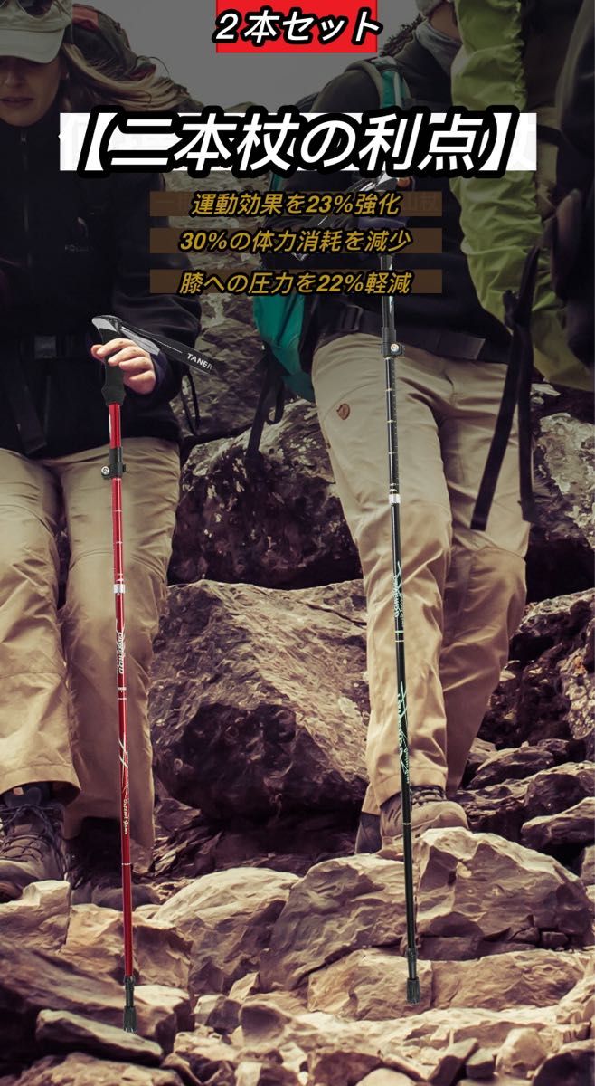  ２本セット トレッキングポール 軽量・折りたたみ 登山ストック 登山杖 アルミ製 男女兼用　パープル
