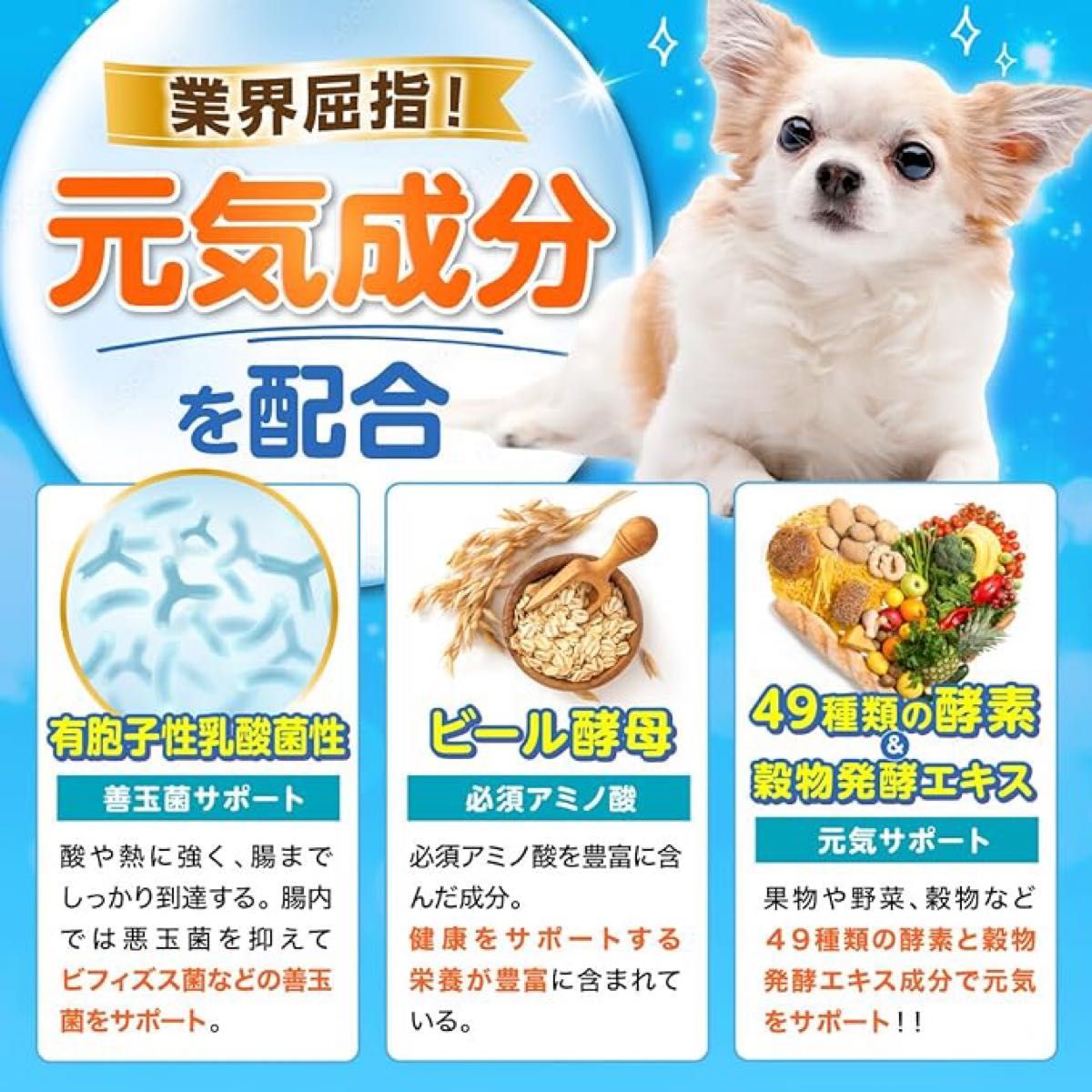 わんちゃん用 乳酸菌 サプリメント 犬 腸活 腸内環境 整腸 涙 便 皮膚 植物酵素 穀物酵素 元気成分配合 60粒 30日分