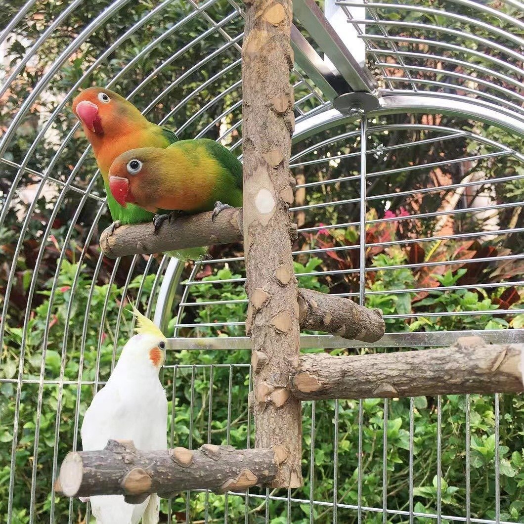 鳥 止まり木 タワー 天井取り付けタイプ 爪を研ぎ 鳥スタンド インコ おもちゃ 鳥おもちゃ 噛むおもちゃ 鳥休み場所 天然木 HD382_画像1