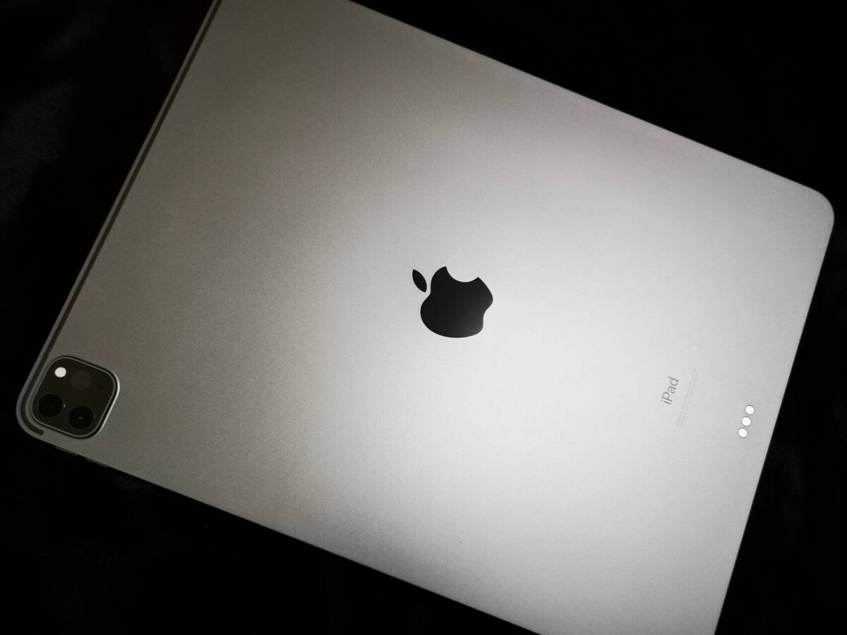 iPad Pro（12.9インチ）スペースグレイ 第4世代 MXAT2J/A 256GB（新品フィルム付）_画像4