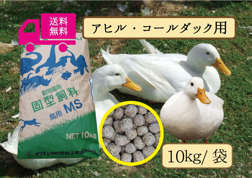 ※【期間限定SALE大特価】◎送料無料【アヒル・コールダック用飼料・ペレット】10kｇ　 水禽、エミュー オリエンタル酵母工業