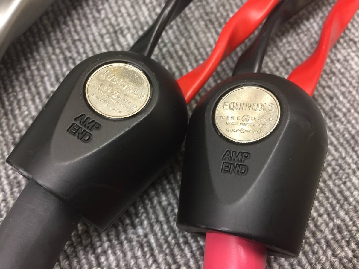 19896円 【USED】WIREWORLD Equinox 8(EQB8/1.5m)[バイワイヤ 19896円 【USED】WIREWORLD Equinox 8(EQB8/1.5m)[バイワイヤ
