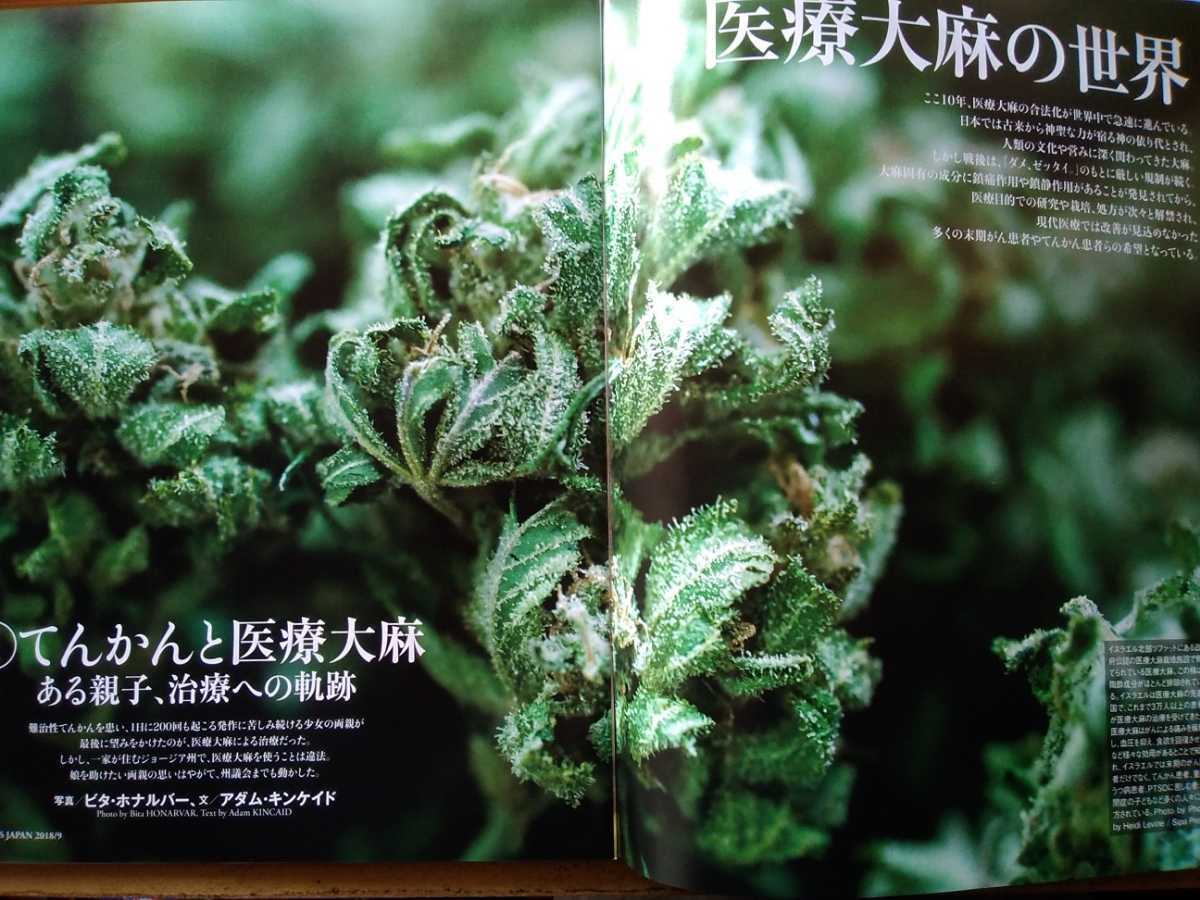 即決 デイズ保存版 大麻 マリファナ 医療大麻の世界 てんかん癲癇と医療大麻 × 重度の自閉症/大麻の歴史 植物療法 林真一郎・植物の世界_画像2