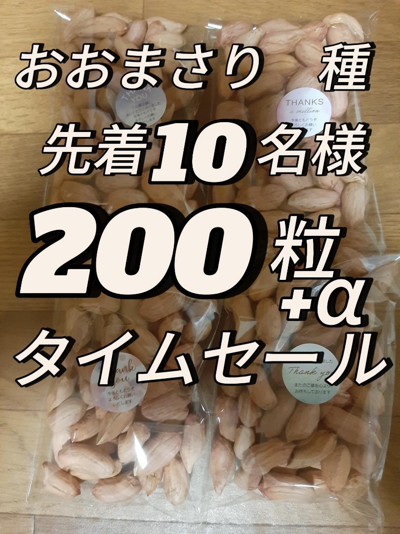 先着10名様・タイムセール・千葉県産・落花生(おおまさり) 200粒＋α ・ ・2_画像1