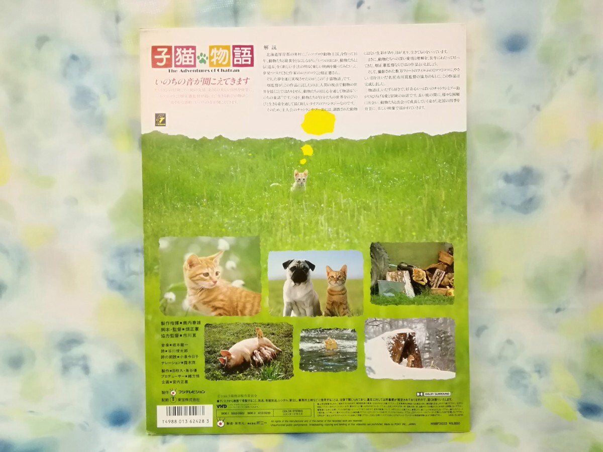 g_t T532 ★VHD 「子猫物語」 脚本・監督：畑正憲 【現状品】_画像2