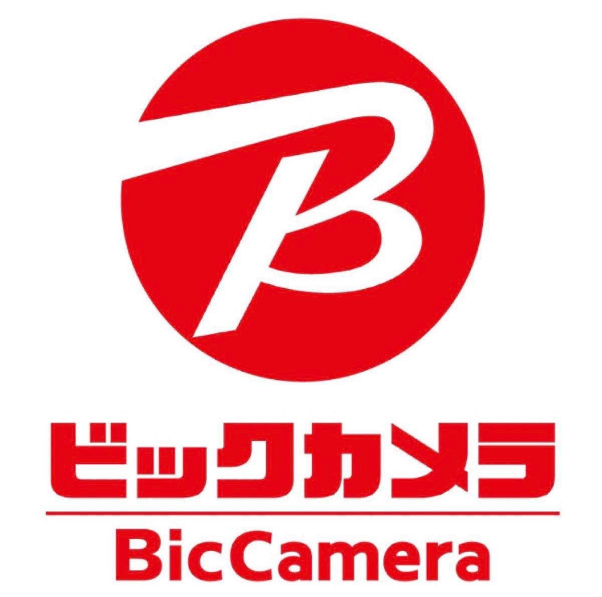 ビックカメラ　3000円分