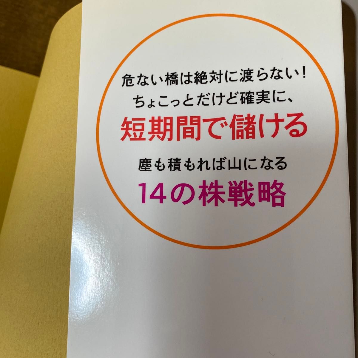 図解１株１００円から始める株成功術　お小遣いが１０万円ＵＰする超カンタン！儲けのコツ１４ 山本有花／著