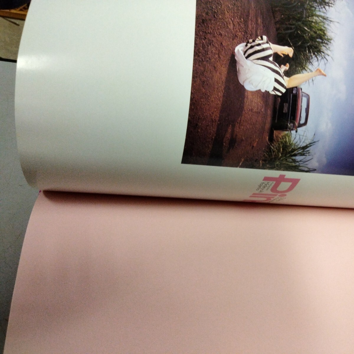 羽田惠理香 写真集 「Pink」 帯付き初版 ワニブックス_画像4
