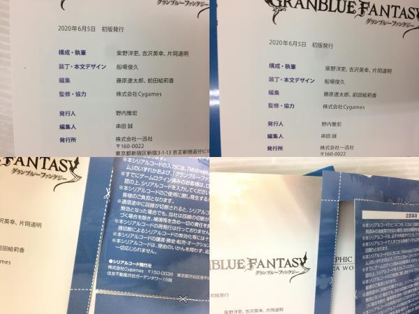 GRANBLUE FANTASY GRAPHIC ARCHIVE Ⅵ グランブルーファンタジー 6 EXTRA WORKS 2冊セット 中古品 sybetc072558の画像5