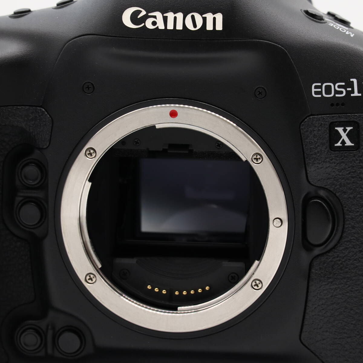 ショット数19000回以下 | Canon キヤノン デジタル一眼レフカメラ EOS-1D X ボディ EOS1DX #3039_画像10