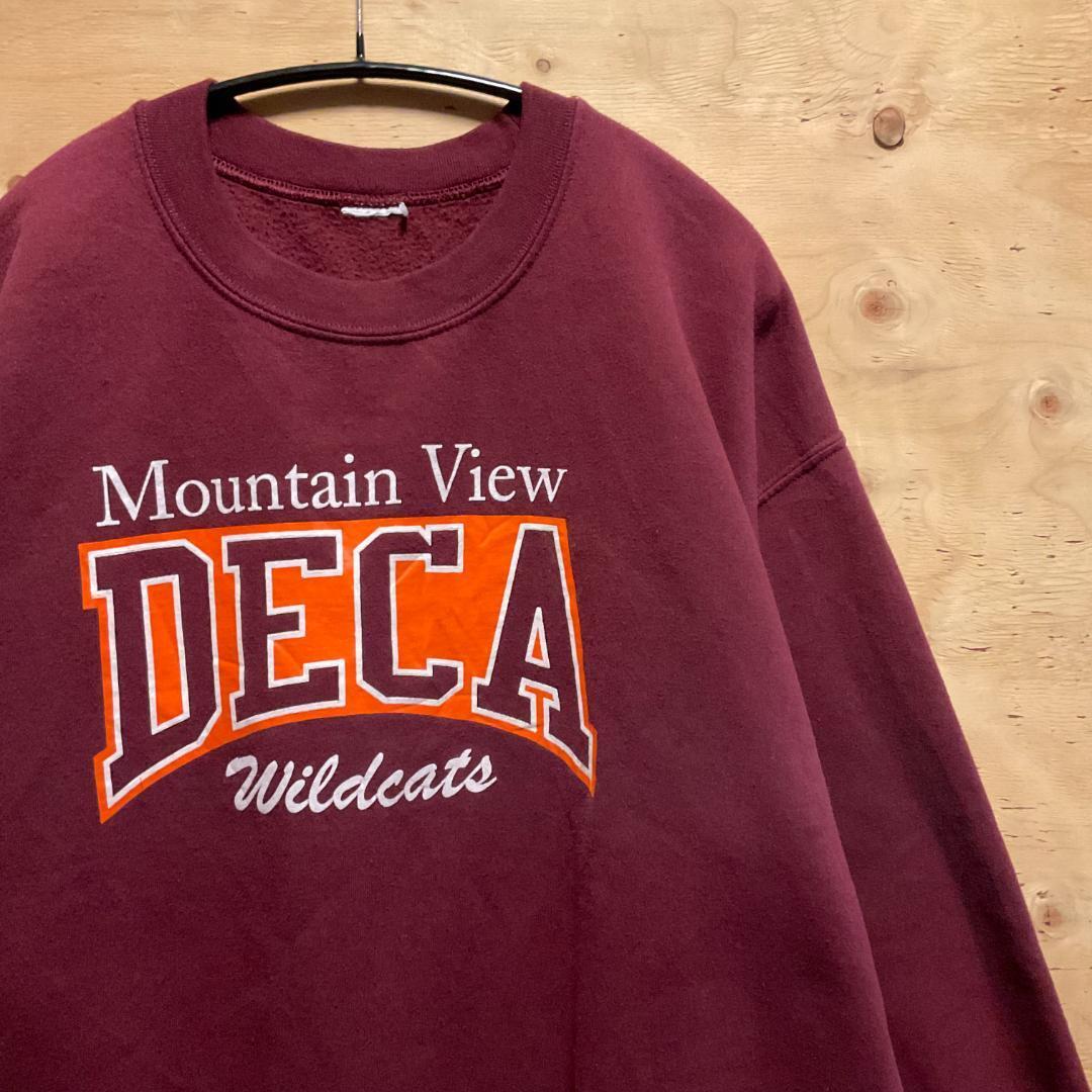 90s VINTAGE SWEAT -MOUNTAIN VIEW WILDCATS- ヴィンテージ　アメリカ_画像1