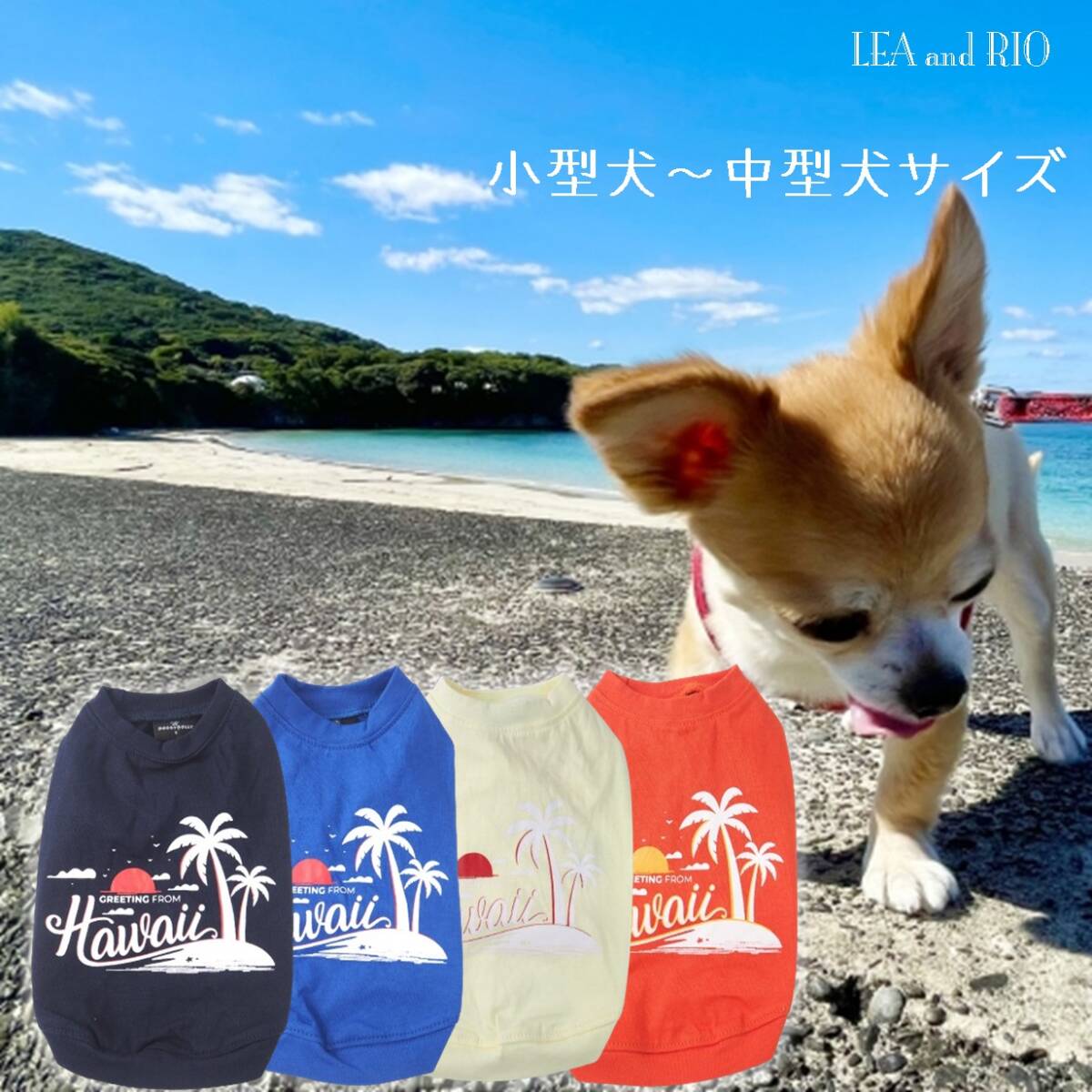 トップス Tシャツ XS～XXLサイズ DD162 DD163 DD164 DD165 パピー 小型犬 中型犬 犬 猫 ペット 服 犬服 猫服 可愛い カジュアル 春夏_画像1