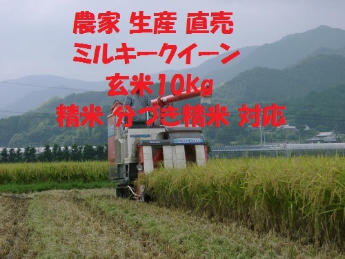 . мир 5 год производство новый рис Milky Queen неочищенный рис 10.×1 пакет сельское хозяйство дом производство прямой . рис ( белый рис * минут ... рис * clean белый рис musenmai стандарт ) соответствует 