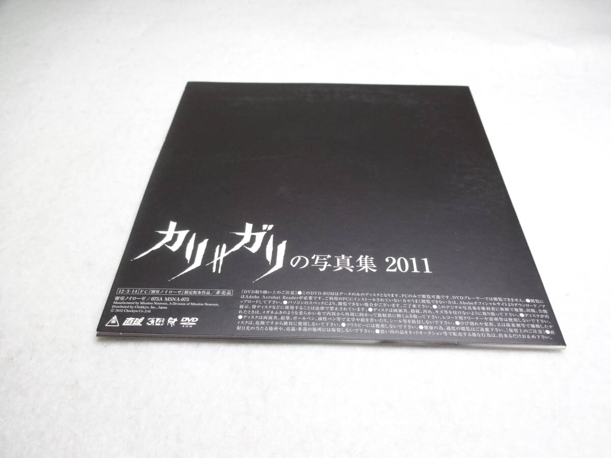 非売品ＤVD　cali≠gari カリガリの写真集 2011_画像2