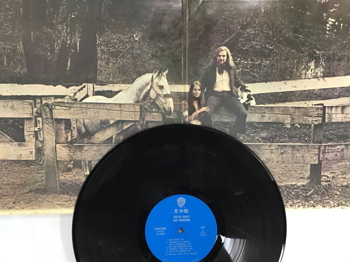 LP / VAN MORRISON / TUPELO HONEY / プロモ [6391RR]_画像2