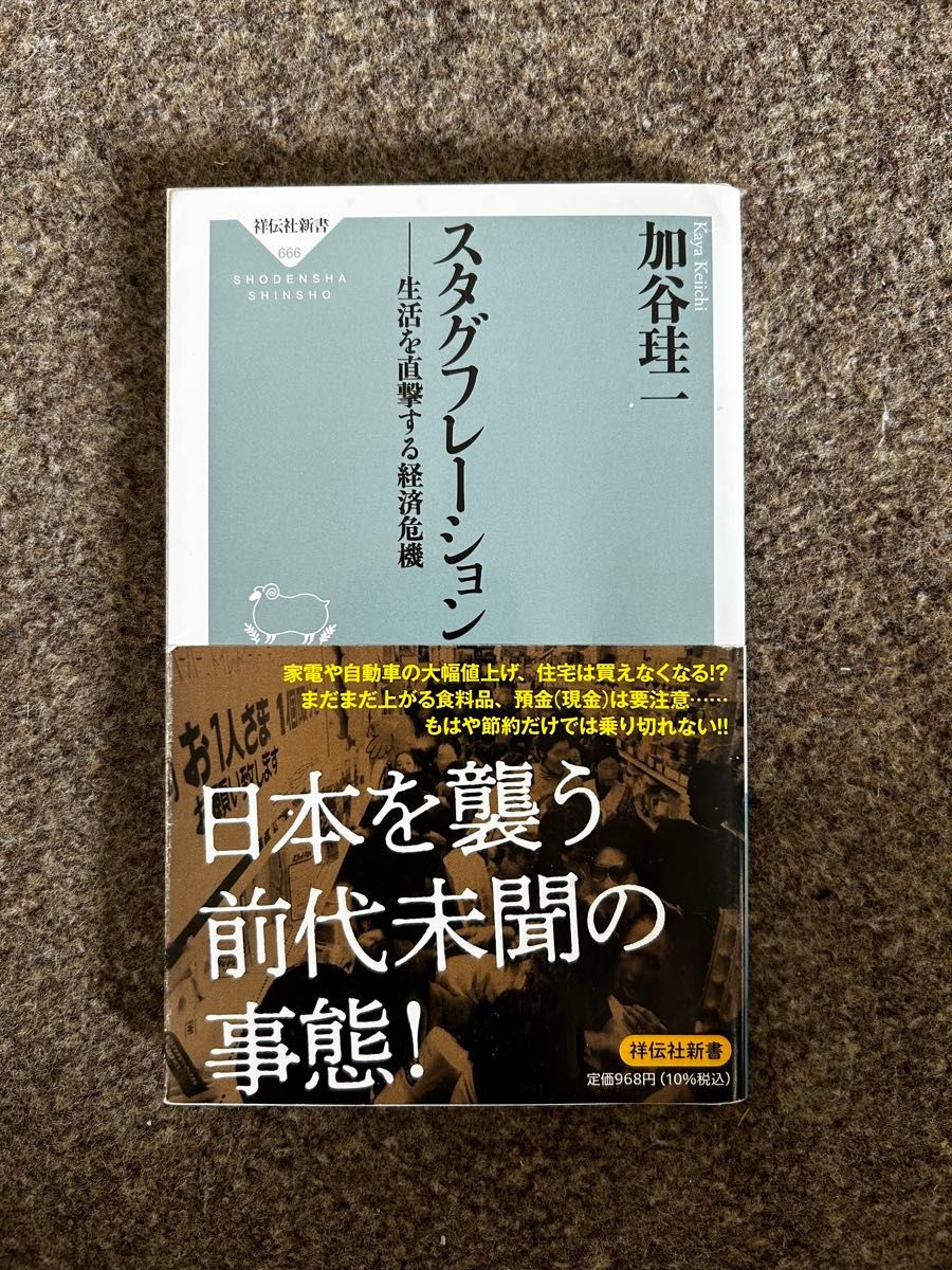 スタグフレーション　生活を直撃する経済危機 （祥伝社新書　６６６） 加谷珪一／〔著〕