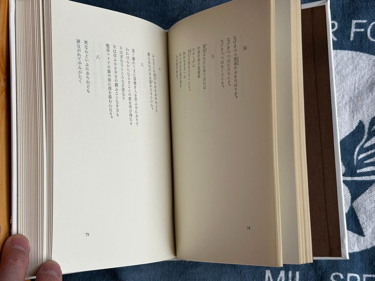 日本の詩　佐藤春夫　昭和50年発行　ほるぷ出版