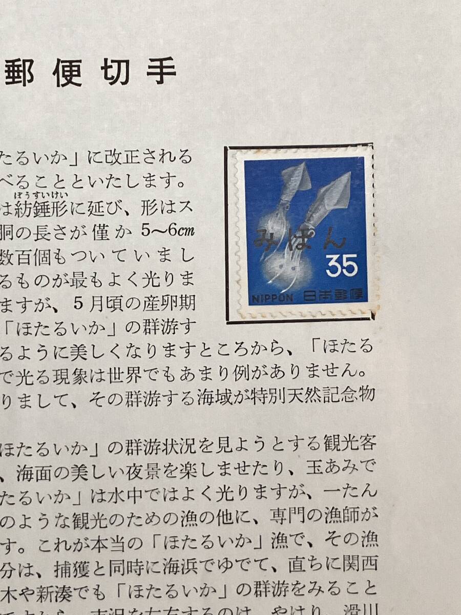 ☆みほん切手　解説書　35円　ホタルイカ_画像2