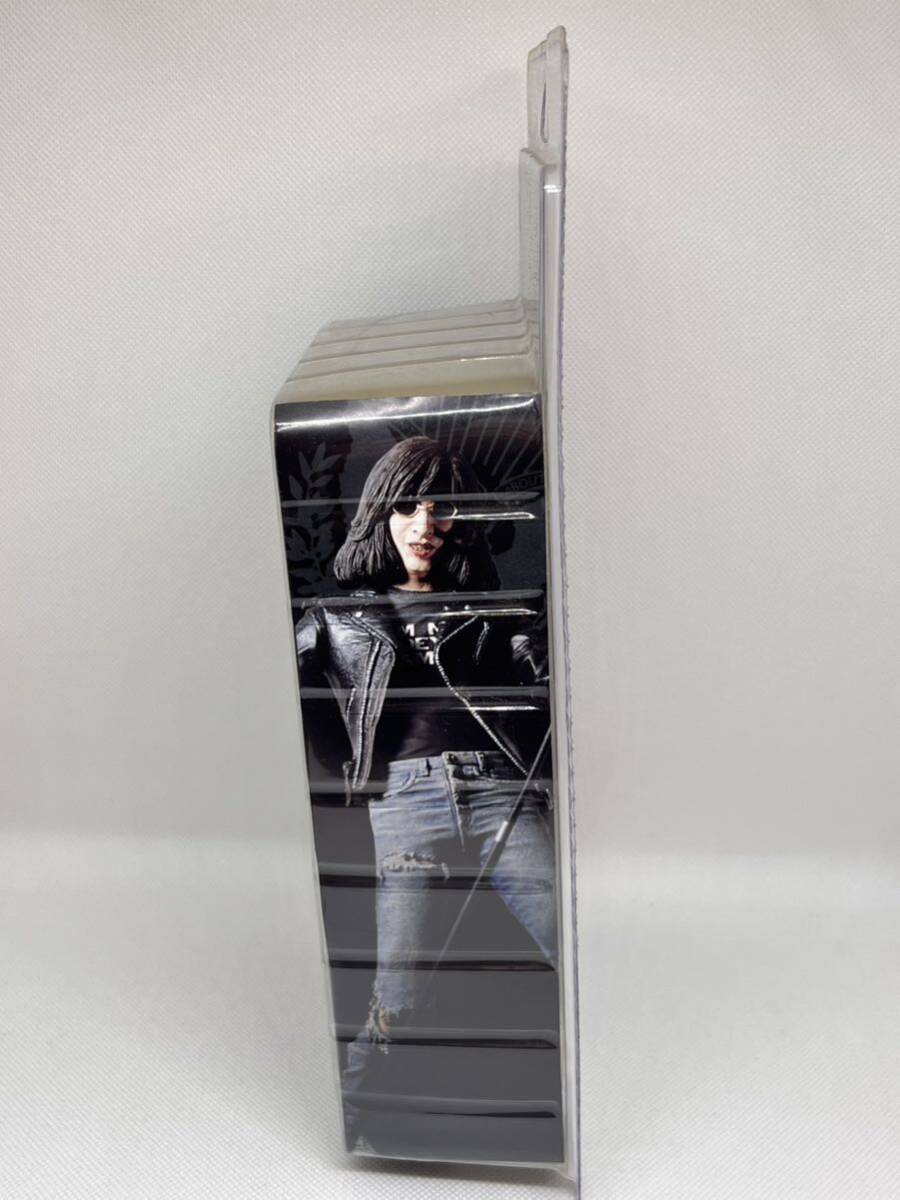 ◇未開封◇ JOEY RAMONE フィギュア　RAMONES ラモーンズ　NECA 激レア未開封_画像3