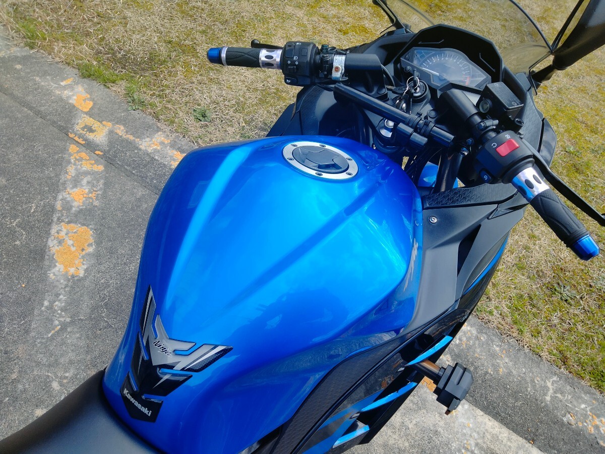 ニンジャ２５０R スペシャルエディション ガレージ保管の画像7