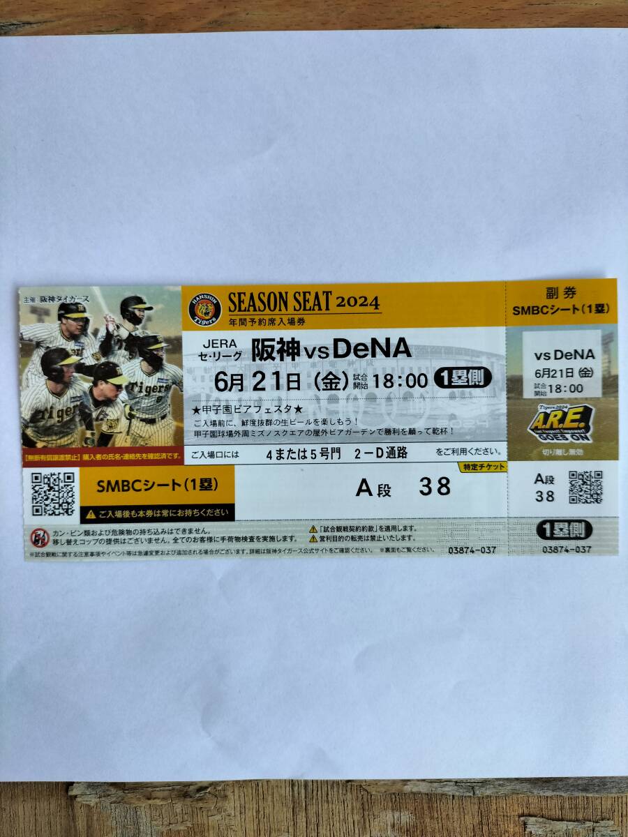 6月21日（金）18:00～　阪神甲子園球場　阪神VS DeNA　SMBC一塁側　2連ペアチケット　送料無料_画像1