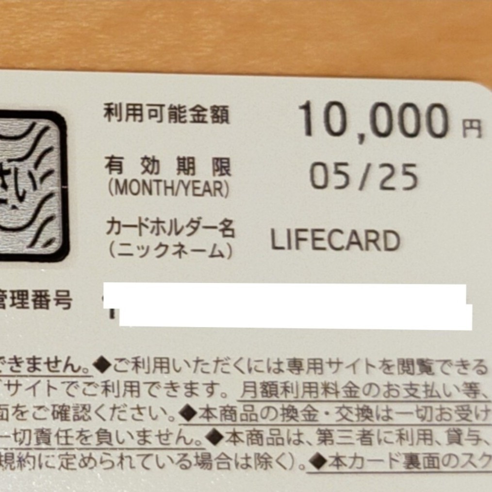 【匿名配送・送料無料】Vプリカカード2枚セット 合計13,000円 インターネット専用VISAギフトカードの画像2