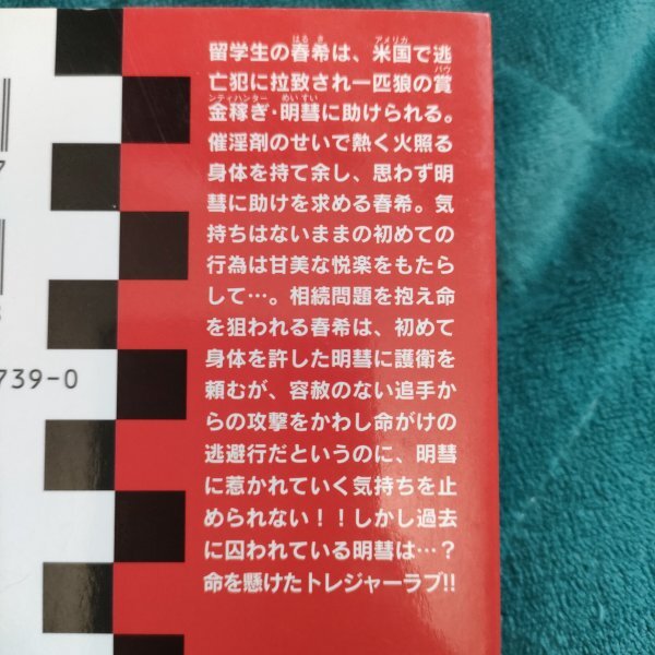 高尾理一　奪いたい、守りたい　新書★_画像2