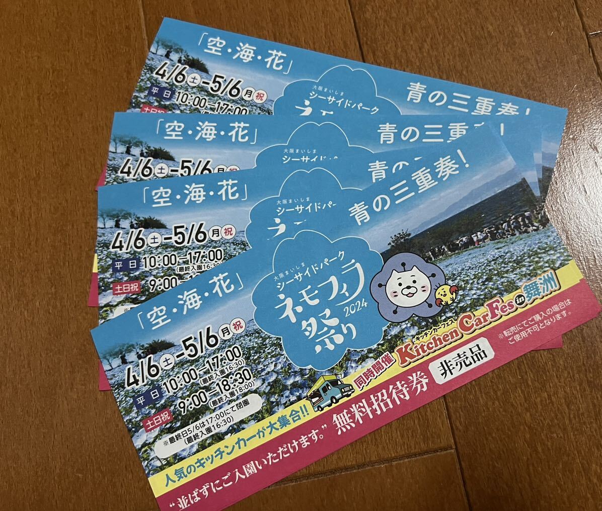  Osaka Mai . nemophila festival free invitation ticket 4 sheets 