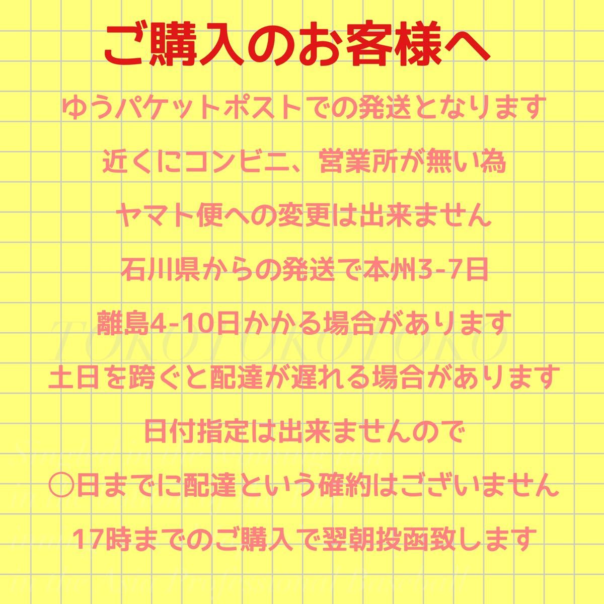 ブラック 黒  シースルー 2XL 3L  ベビードール セクシーランジェリー セクシー 過激 刺激的 勝負下着 スケスケ 大きめ