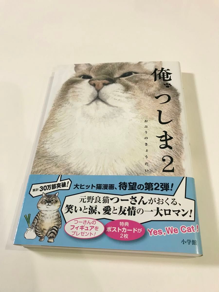 【GW中お値下げ！】「俺つしま」1〜3巻セット　おれつしま