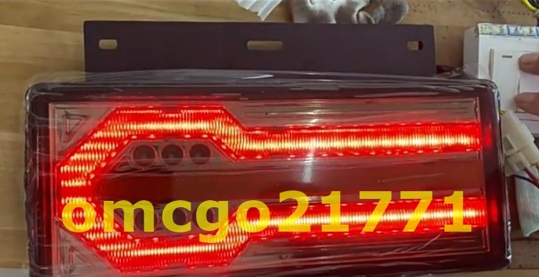 NEW 新品 全新 ISUZU いすゞ 07フォワード用 12V/24V LED テールランプ 2タイプ選択 2pの画像6