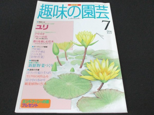 книга@No1 00163 NHK хобби. садоводство 1996 год 7 месяц номер сезон. цветок лилия ипомея вода сад аромат . приятный Hanaki голубой. цветок свежий овощи .... Ran 