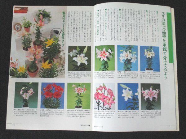 книга@No1 00163 NHK хобби. садоводство 1996 год 7 месяц номер сезон. цветок лилия ипомея вода сад аромат . приятный Hanaki голубой. цветок свежий овощи .... Ran 
