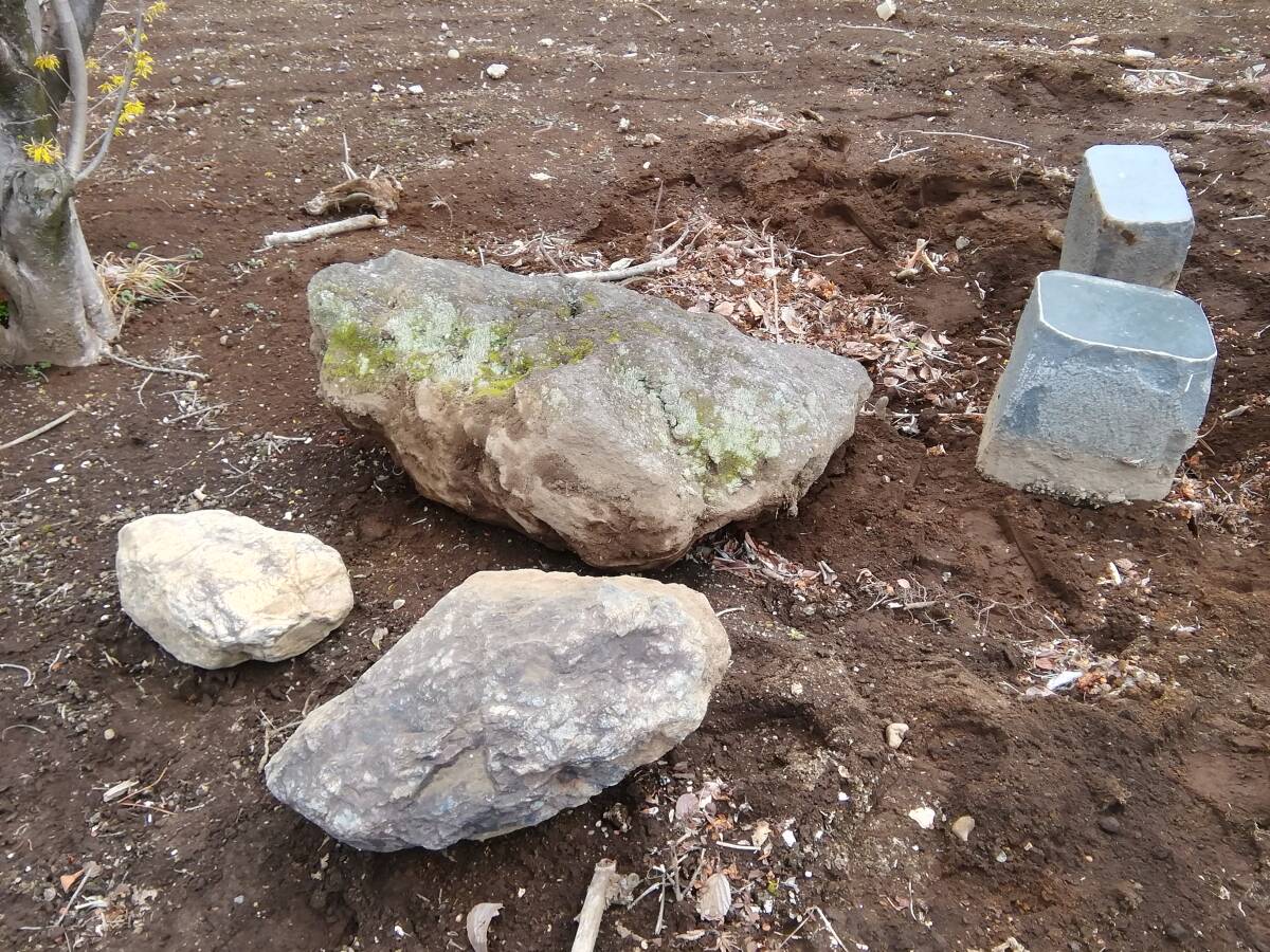 埼玉鶴ヶ島発 苔 コケの付いた良い庭石になります。３個セットになります。重さ約５００キロ 引取のみ対応になります。