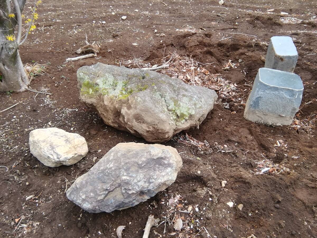 埼玉鶴ヶ島発 苔 コケの付いた良い庭石になります。3個セットになります。重さ約500キロ 引取のみ対応になります。