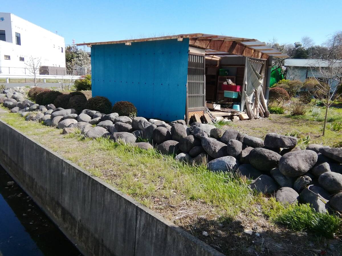 埼玉県坂戸市 御影石 玉石 大量 その昔、漬物に使っていた石になります。引き取りのみ対応　バラ売り可能です！_画像7