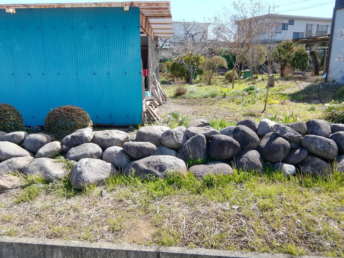 埼玉県坂戸市 御影石 玉石 大量 その昔、漬物に使っていた石になります。引き取りのみ対応　バラ売り可能です！_画像10