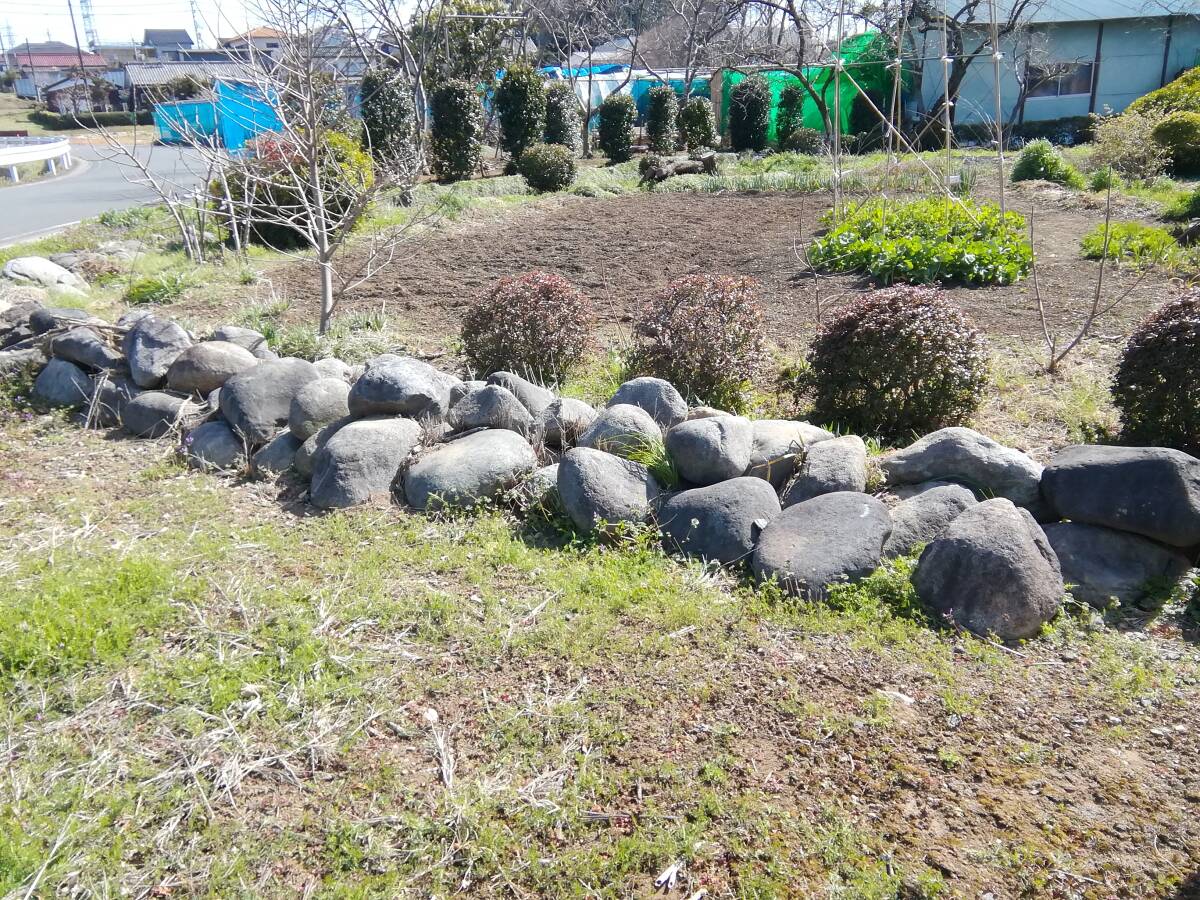 埼玉県坂戸市 御影石 玉石 大量 その昔、漬物に使っていた石になります。引き取りのみ対応　バラ売り可能です！_画像5