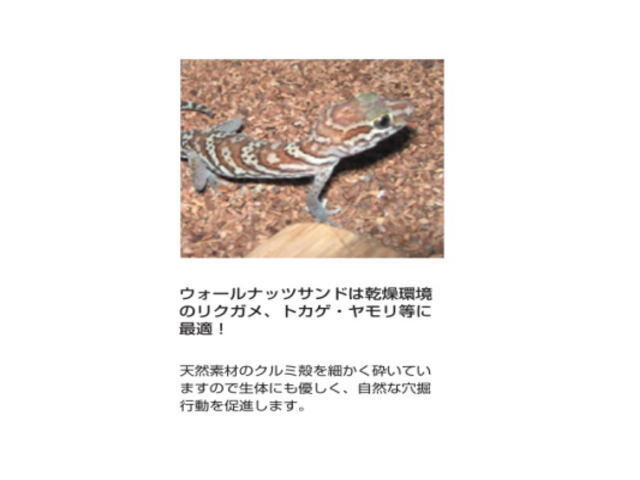 bi шероховатость a wall орехи Sand 5kgx2 пакет (1 пакет 1,820 иен ) рептилии покрытие пола управление 120