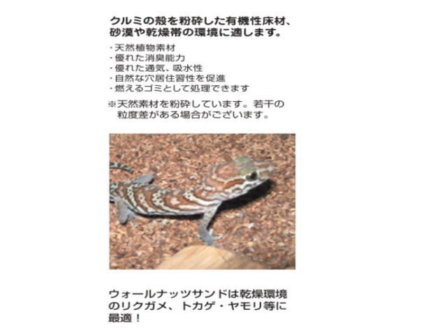 bi шероховатость a wall орехи Sand 5kgx2 пакет (1 пакет 1,820 иен ) рептилии покрытие пола управление 120